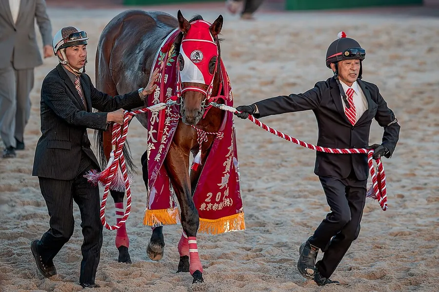 Forever Young after winning the Tokyo Daishoten, 2024