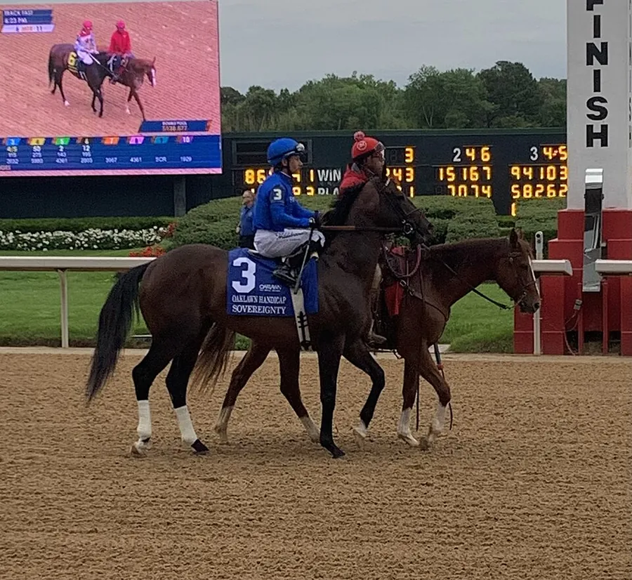 Sovereignty before the Oaklawn Handicap, 2026 Sovereignty before the Oaklawn Handicap, 2026